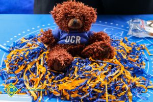 UCR teddy bear sitting on a bed of shredded blue and yellow paper.