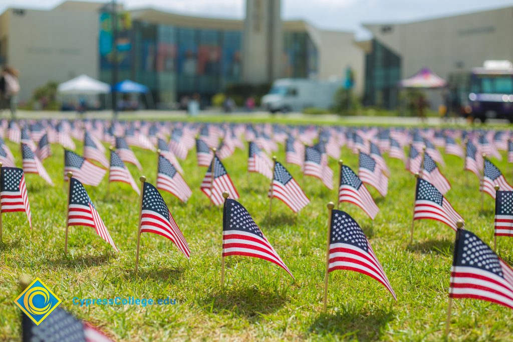 Mini American flags on the campus lawn