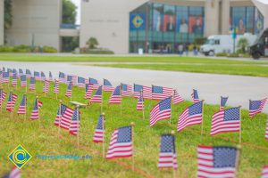 Mini American flags on the campus lawn