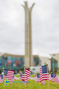 Mini American flags on the campus lawn