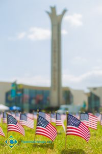 Mini American flags on the campus lawn