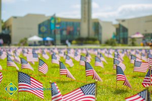 Mini American flags on the campus lawn