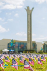 Mini American flags on the campus lawn