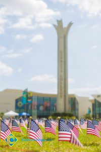 Mini American flags on the campus lawn