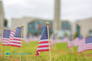 Mini American flags on the campus lawn