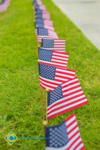 Mini American flags on the campus lawn