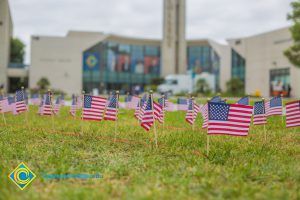 Mini American flags on the campus lawn