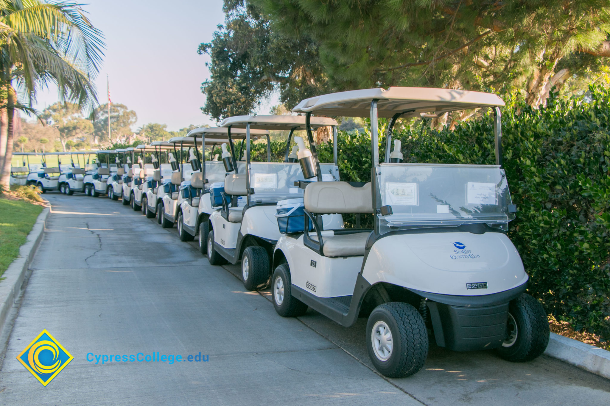 Golf carts lined up.
