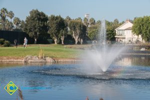 Golf course pond.