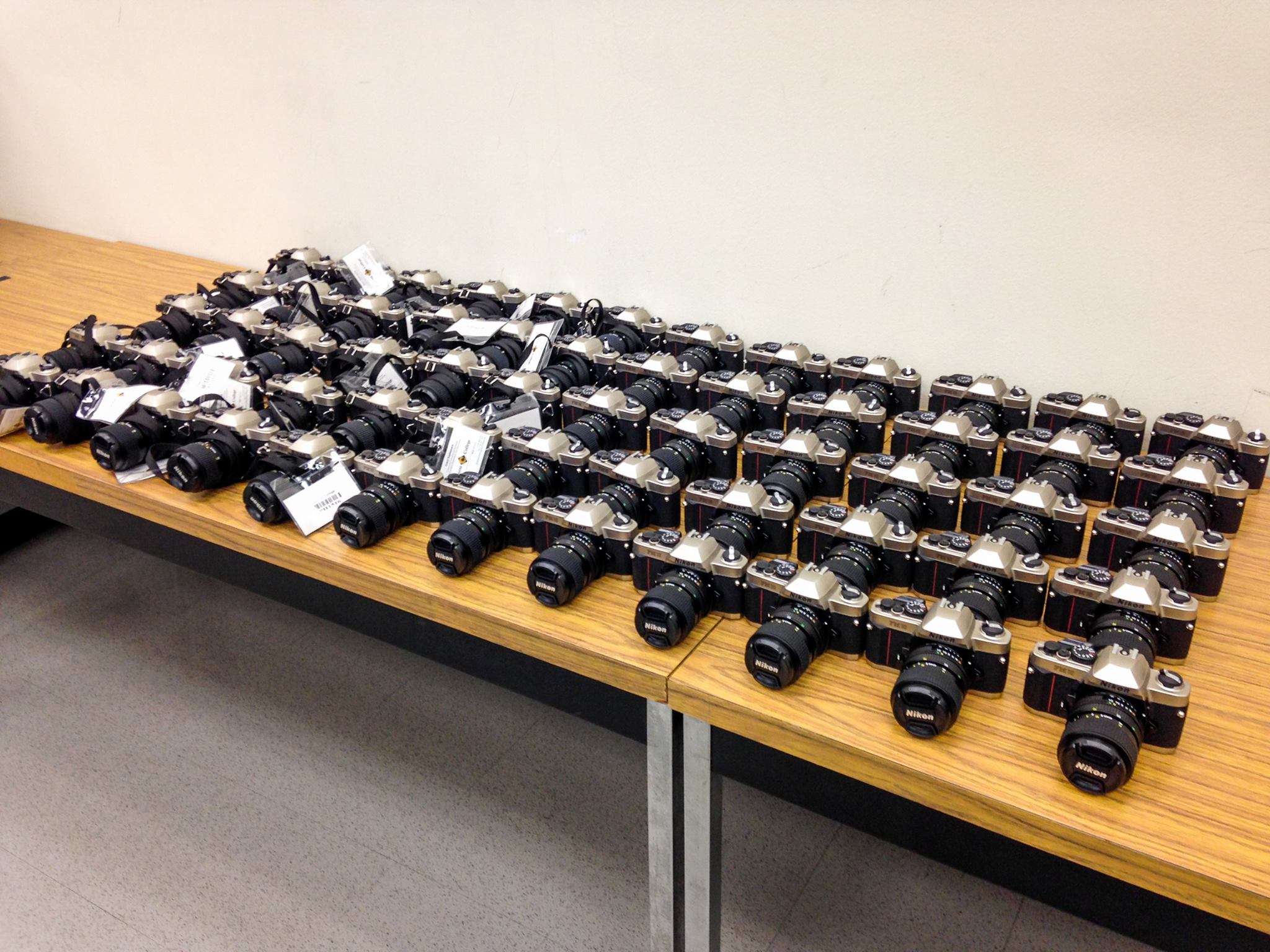 Rows of Nikon cameras