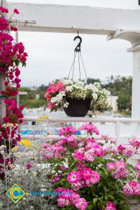 Flowers at Associated Students banquet