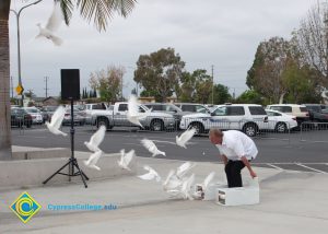 Releasing of doves.