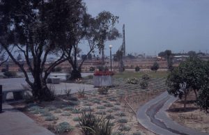 Vintage 1970s photo showing a garden and construction work in the background of the Cypress College Gym.