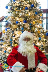 Santa Claus sitting with a large Christmas tree decorated in blue and gold ornaments.