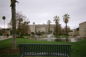 View of the pond area