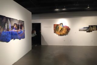 ‘TRANSPLANTS’ Opening Reception March 19; Exhibit Runs Through April 16