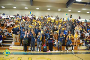 Stands full of cheering fans.