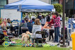 People gather at an outdoor stress-relieving event.