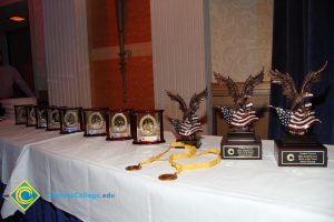 Table with rows of awards and medals.
