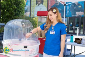 A young lady in a blue shirt with flower in her hair making cotton candy.