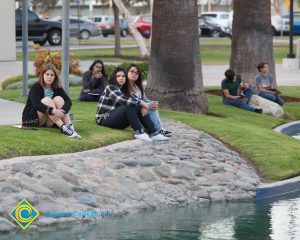 Students sitting at the pond