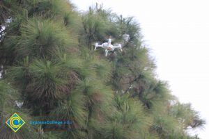 Drone next to a tree