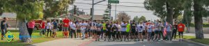 Veterans 5k participants lined up at the starting line