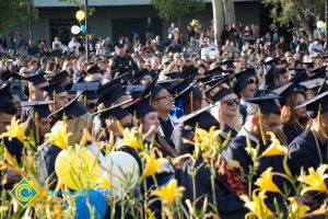 Students sit in the audience at commencement