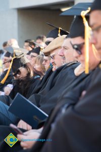 Faculty sit in the audience at commencement