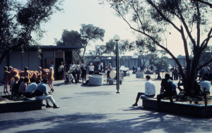 Students sitting on campus, cheerleaders dancing and the band playing on campus during the 1966 opening day.