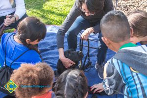 Children gathered around a black therapy dog,