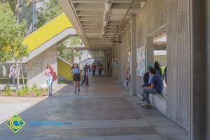 Students walking on campus