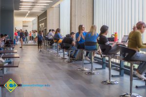 Students sitting along counter