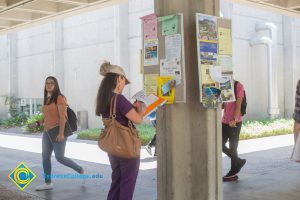 Students looking at flyers on campus bulletin boards.