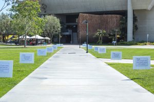 Signs on the campus lawn for Sexual Assault Awareness month.