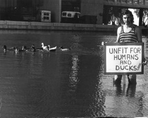 Man standing in the campus pond holding a sign "Unfit for Humans and Ducks" with ducks swimming near him.