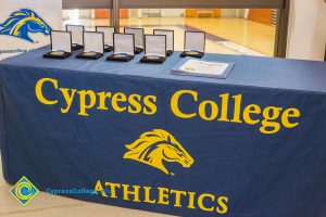 Table of medals and awards.