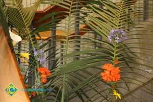 Colorful flowers and palms