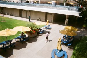 Tables with umbrellas on campus. Photo taken for Disposable Camera Project.