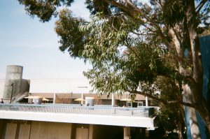 Photo of Humanities building on Piazza level. Photo taken for Disposable Camera Project.