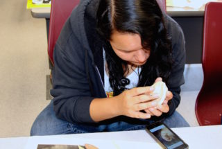 Baccalaureate Program Approved by Accrediting Agency