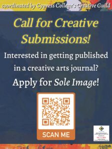 Sole Image submission flyer