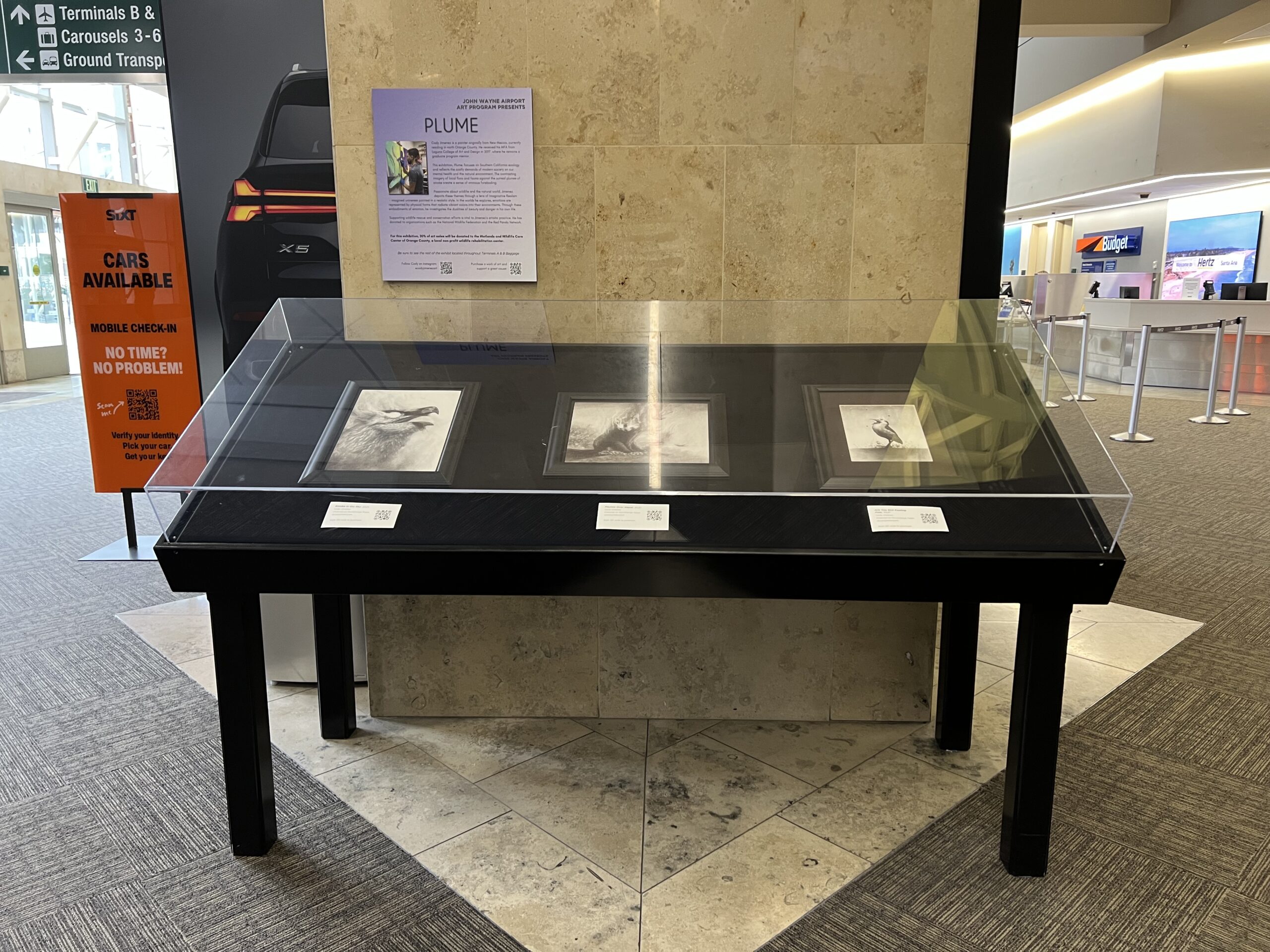 Photo of a display case with artwork inside. An airport baggage claim area is visible in the background.