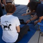 People petting therapy dogs at Kindercaminata