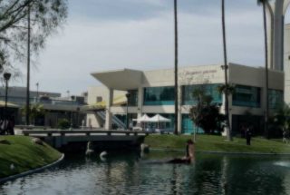 Instagram Photo Reveals Mysterious Guest at the Pond