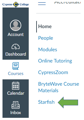 Canvas common menu on the left-hand side with the link to access Starfish highlighted with a green arrow