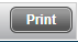 Screenshot of Print Button