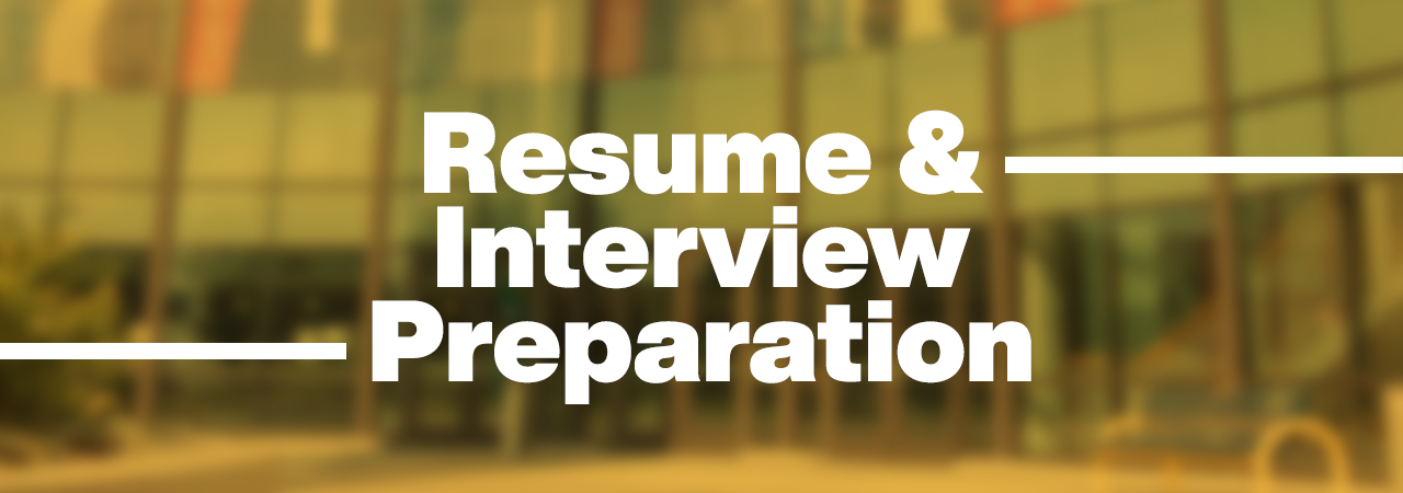 resume and interview services