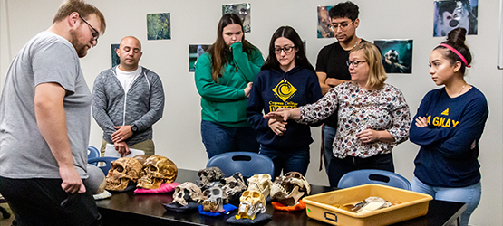 Students & professor looking at skulls on a table