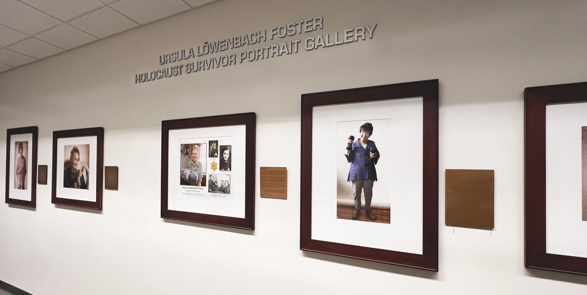 A gallery wall featuring framed photographs and description plaques honoring Holocaust survivors, with a sign above reading "Ursula Löwenbach Foster Holocaust Survivor Portrait Gallery."
